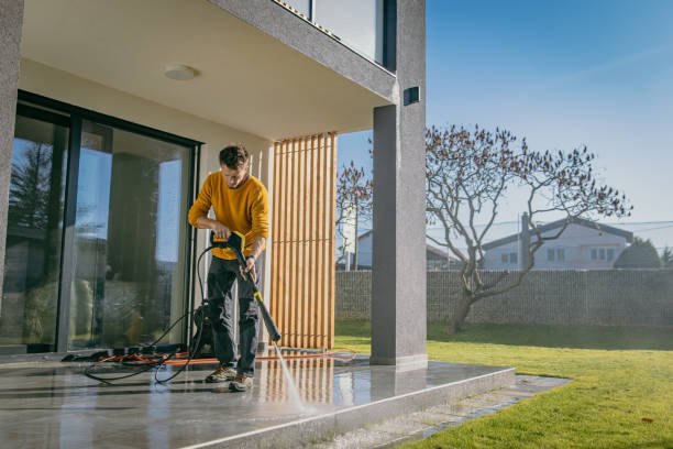 Best Boat and Dock Cleaning  in Carleton, MI